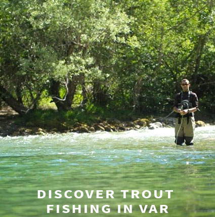 Trout fishing in Var